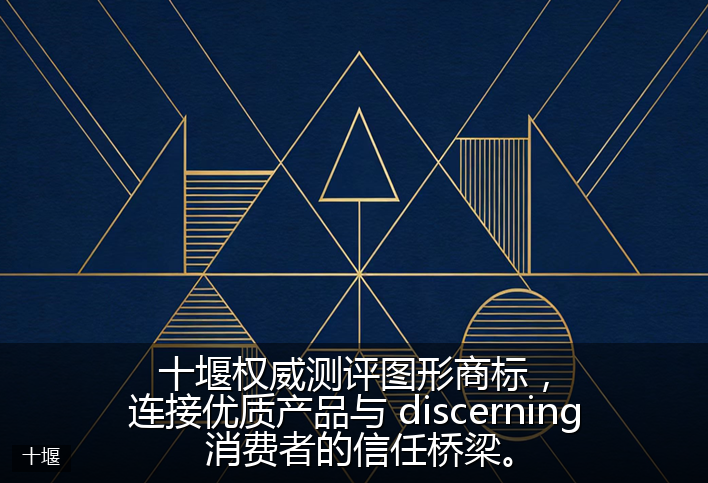 十堰权威测评图形商标，连接优质产品与 discerning 消费者的信任桥梁。