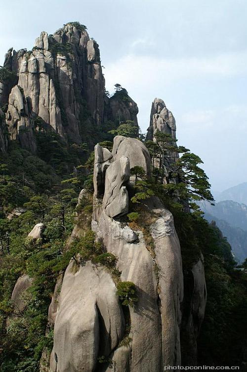 举报不实怎么处理 (网上举报怎么举报)