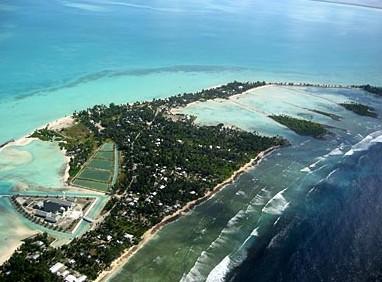 南京酒多少钱 南京n酒多少钱