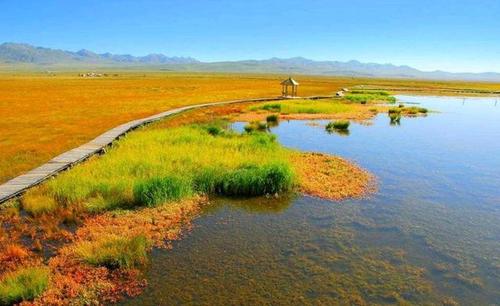 韩国民众给素媛案罪犯家断燃气