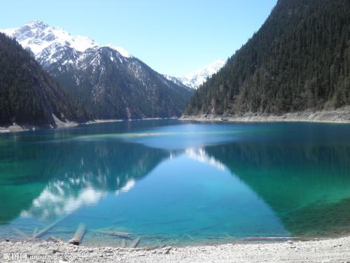 国家表彰抗疫先进个人名单