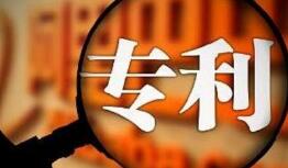 苹果诉佰利专利无效案