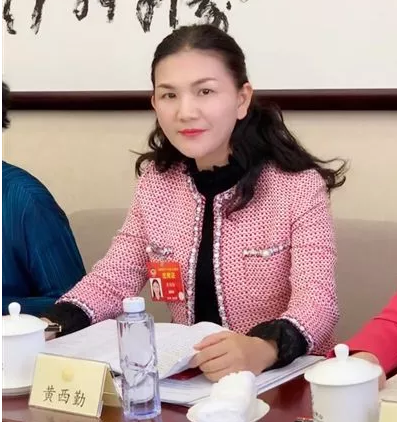 全国政协委员黄西勤：将保护知识产权确立为基本国策